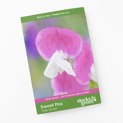 Lathyrus 'Dolly Varden' (Sweet Pea) Seeds