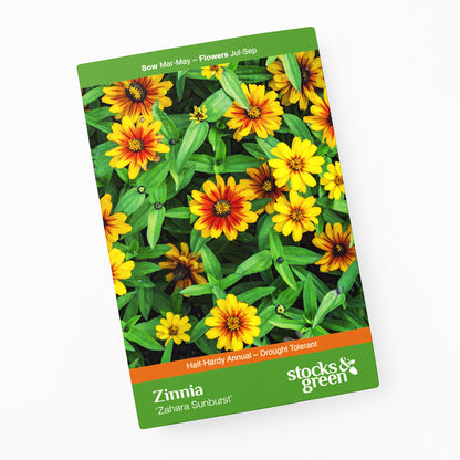 Zinnia marylandica 'Zahara Sunburst' Seeds