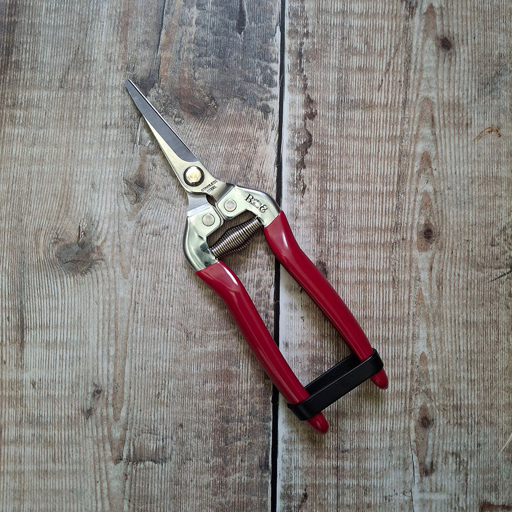 Burgon & Ball Flower & Fruit Snips