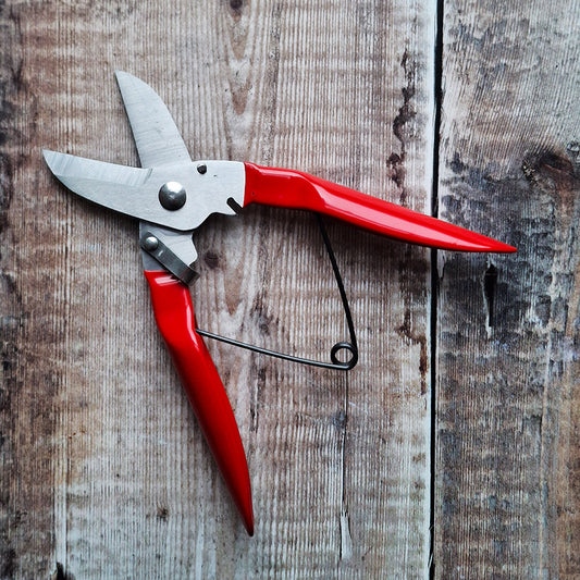 Branch Pruner