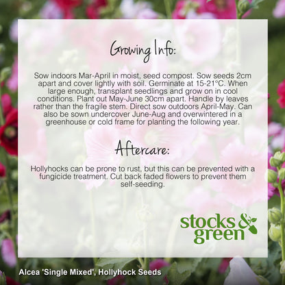 Alcea 'Single Mixed' Seeds