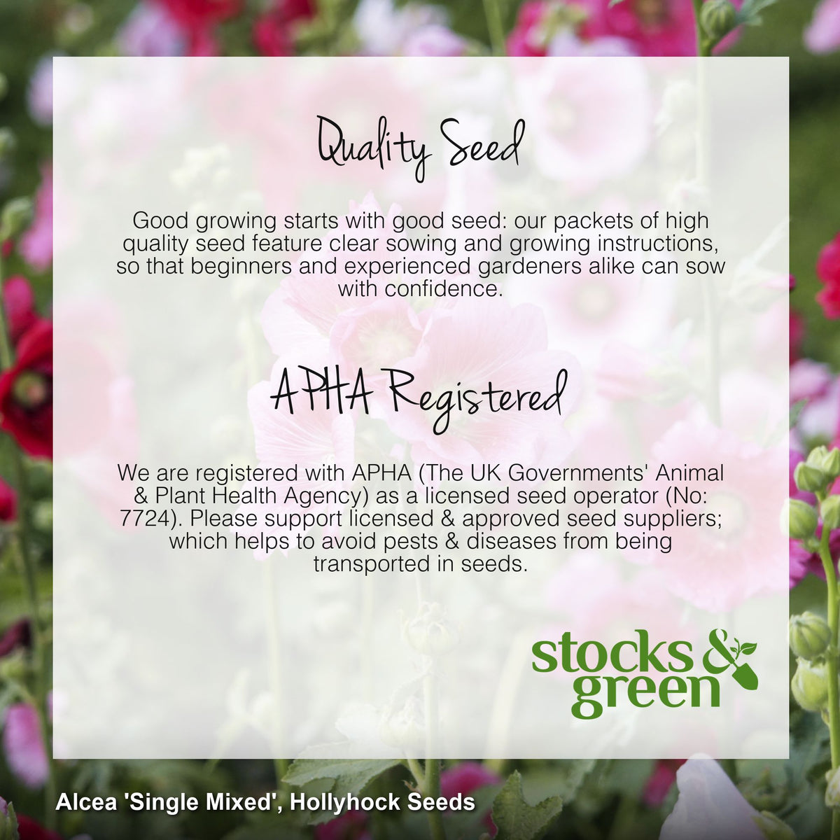 Alcea 'Single Mixed' Seeds