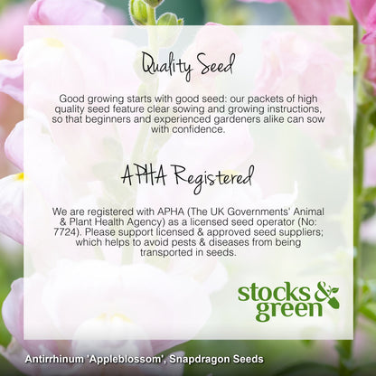 Antirrhinum 'Appleblossom' Seeds