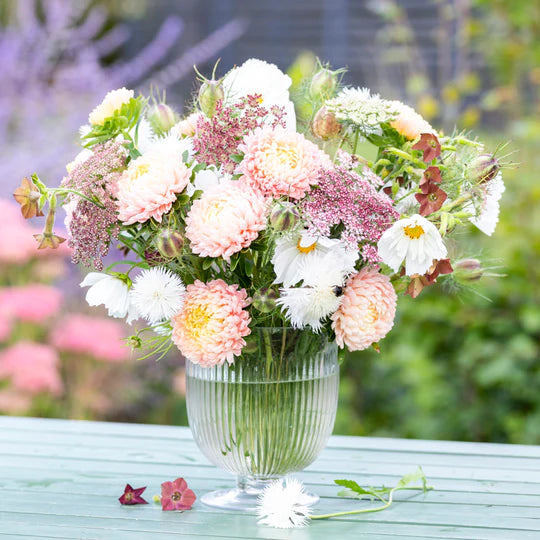 Bronze & Cream Dream