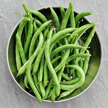 Load image into Gallery viewer, Climbing French Bean &#39;Blue Lake&#39; Seeds
