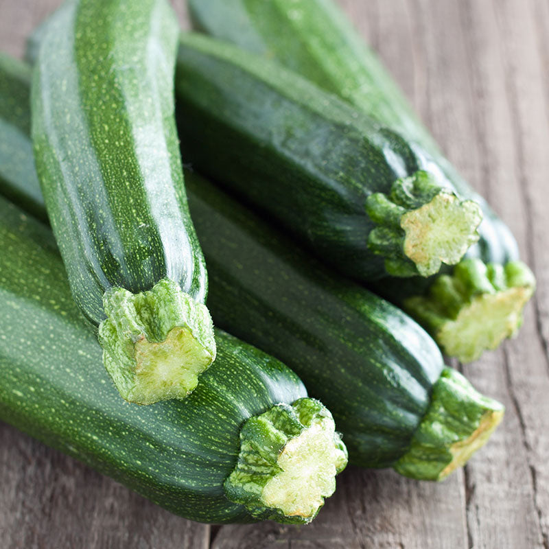 Courgette 'Defender F1' Seeds