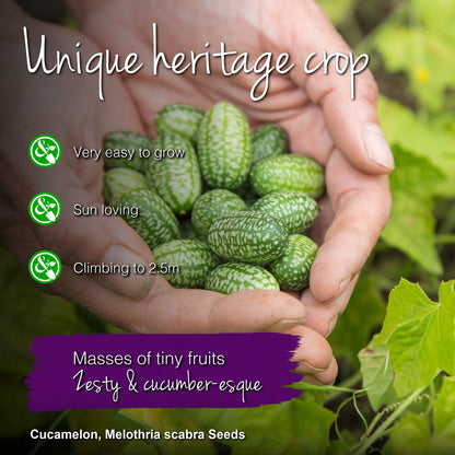 Cucamelon Seeds