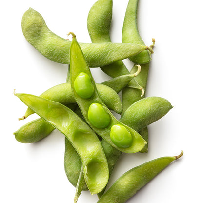 Edamame 'Green Shell' Seeds