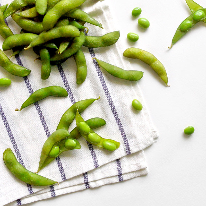 Edamame 'Green Shell' Seeds