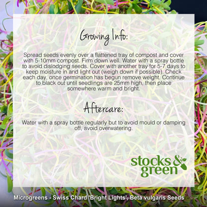Microgreens - Swiss Chard 'Bright Lights' Seeds