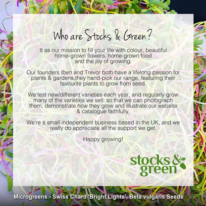 Microgreens - Swiss Chard 'Bright Lights' Seeds