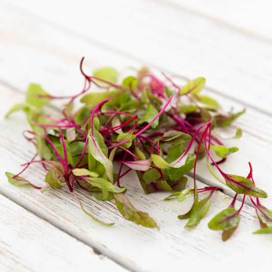 Microgreens - Beetroot 'Bulls Blood' Seeds