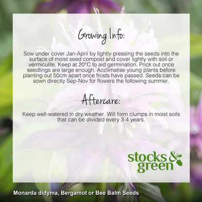 Monarda didyma - Seeds
