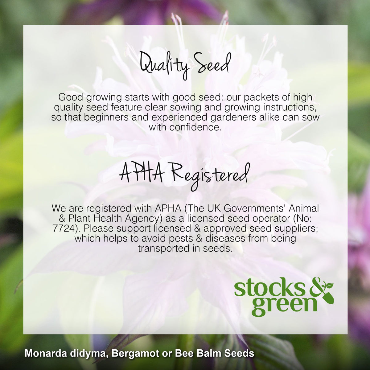 Monarda didyma - Seeds