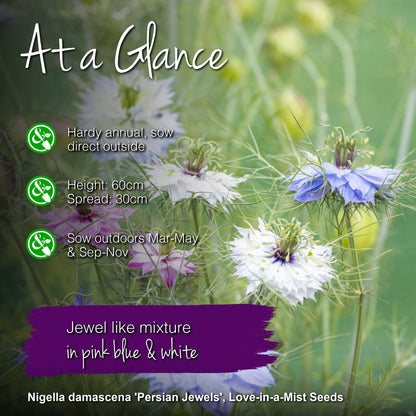 Nigella damascena 'Persian Jewels' Seeds