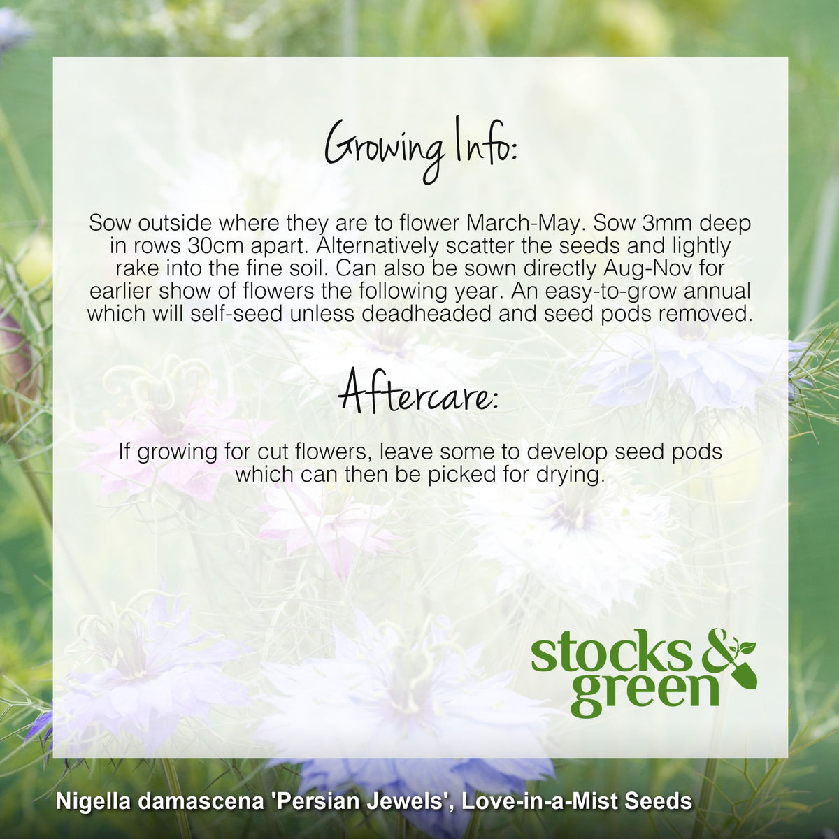 Nigella damascena 'Persian Jewels' Seeds
