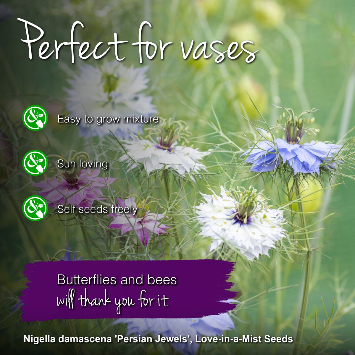 Nigella damascena 'Persian Jewels' Seeds