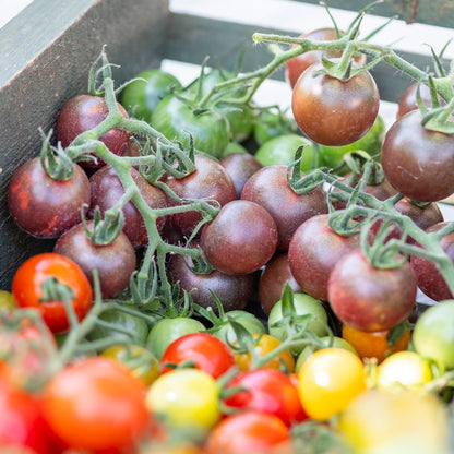 Tomato 'Chocolate Cherry' Seeds