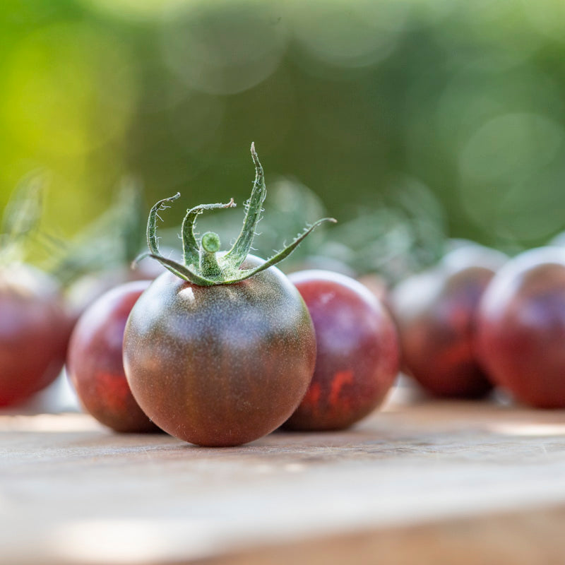 Tomato 'Chocolate Cherry' Seeds