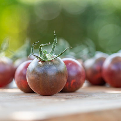 Tomato 'Chocolate Cherry' Seeds