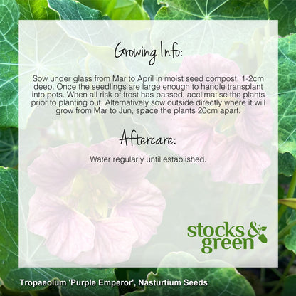 Tropaeolum 'Purple Emperor' (Nasturtium) Seeds