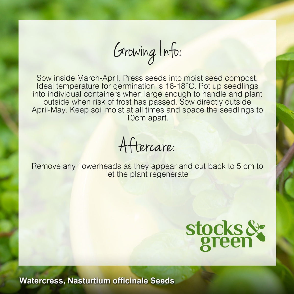 Watercress Seeds