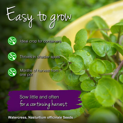Watercress Seeds