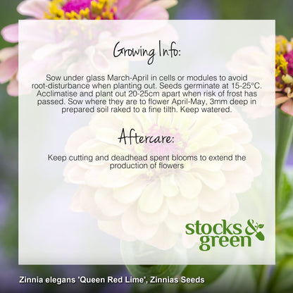 Zinnia elegans 'Queen Red Lime' Seeds