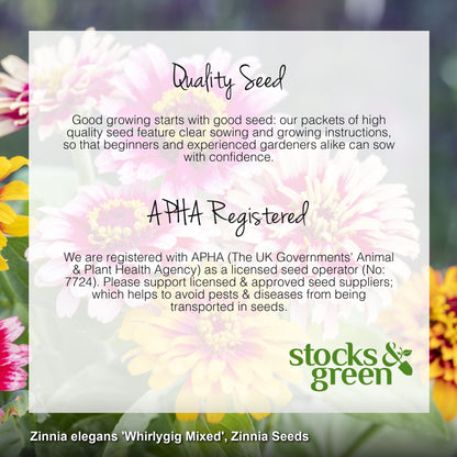 Zinnia elegans 'Whirlygig Mixed' Seeds
