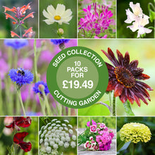 Load image into Gallery viewer, Cutting Garden Collection
