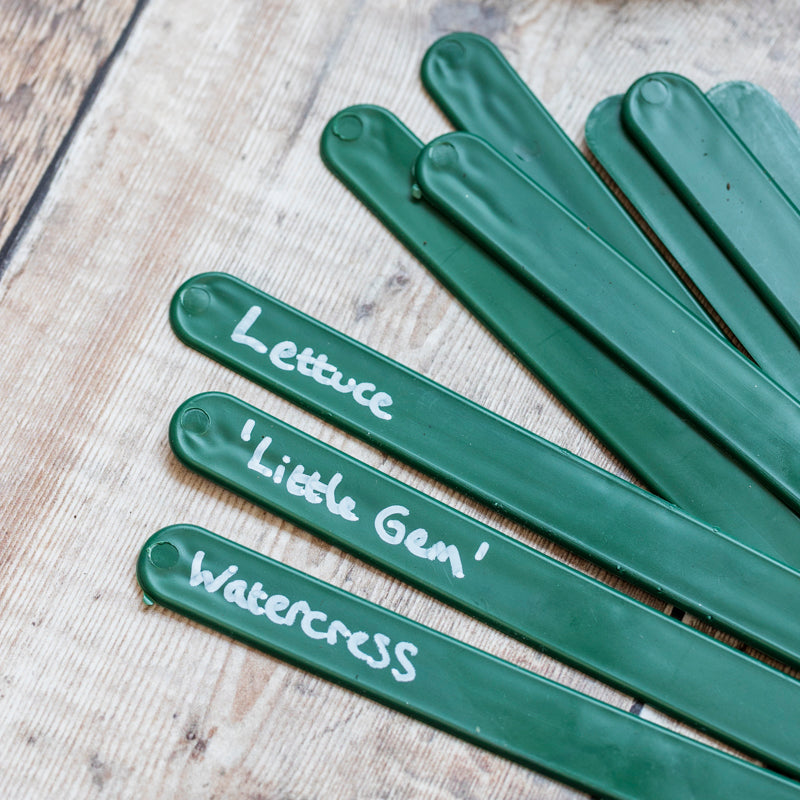 Green Labels String Jumbo Labels - Green (Bundle of 15) – Stocks & Green