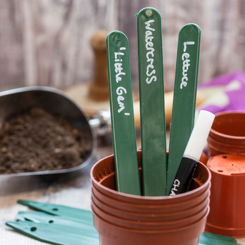 Jumbo Labels - Green (Bundle of 15) – Stocks & Green