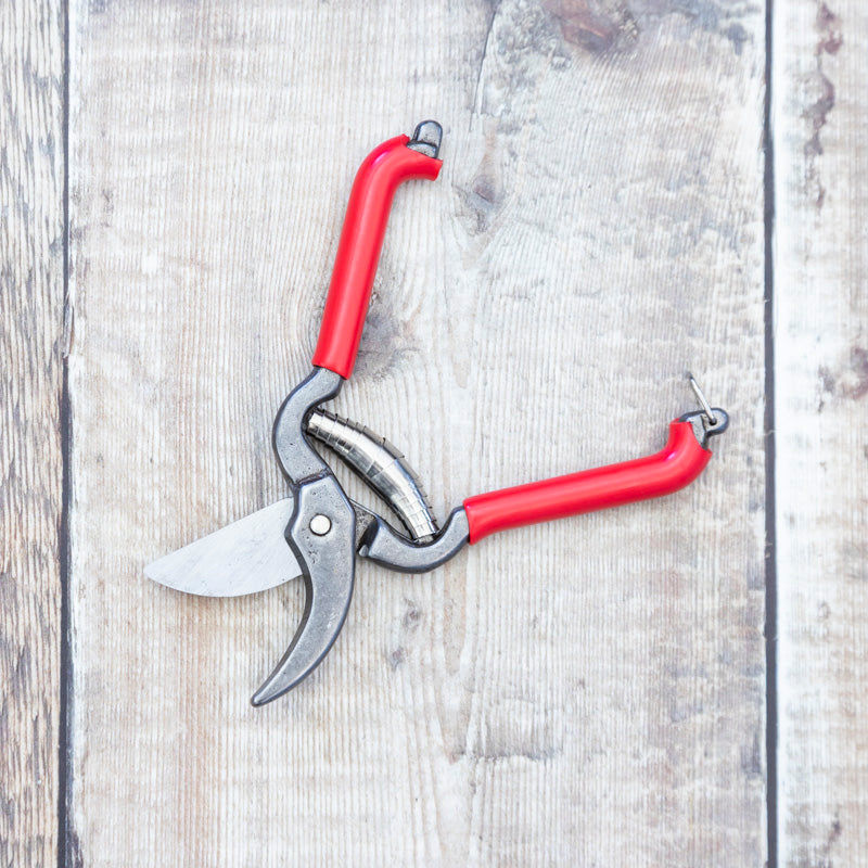 Small Red Pruner
