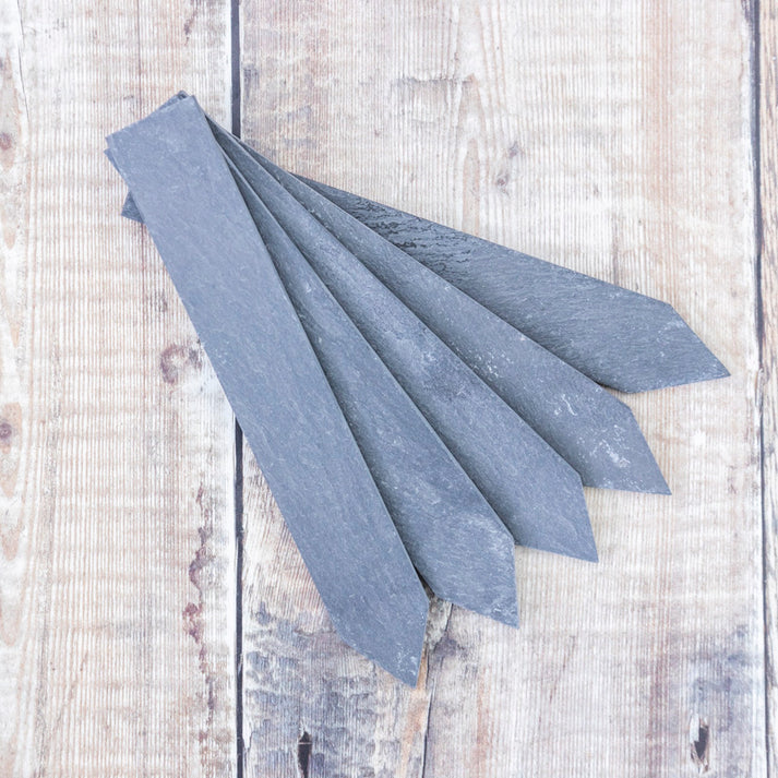 Slate Labels Jumbo Slate Plant Markers – Stocks & Green