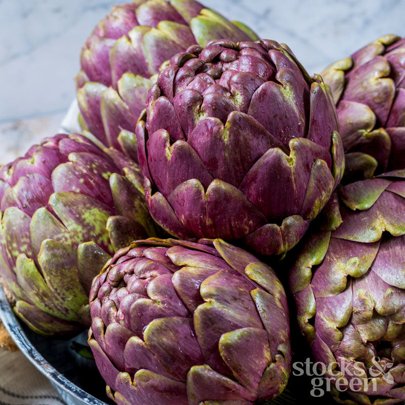 Artichoke 'Violetta di Chioggia' Seeds