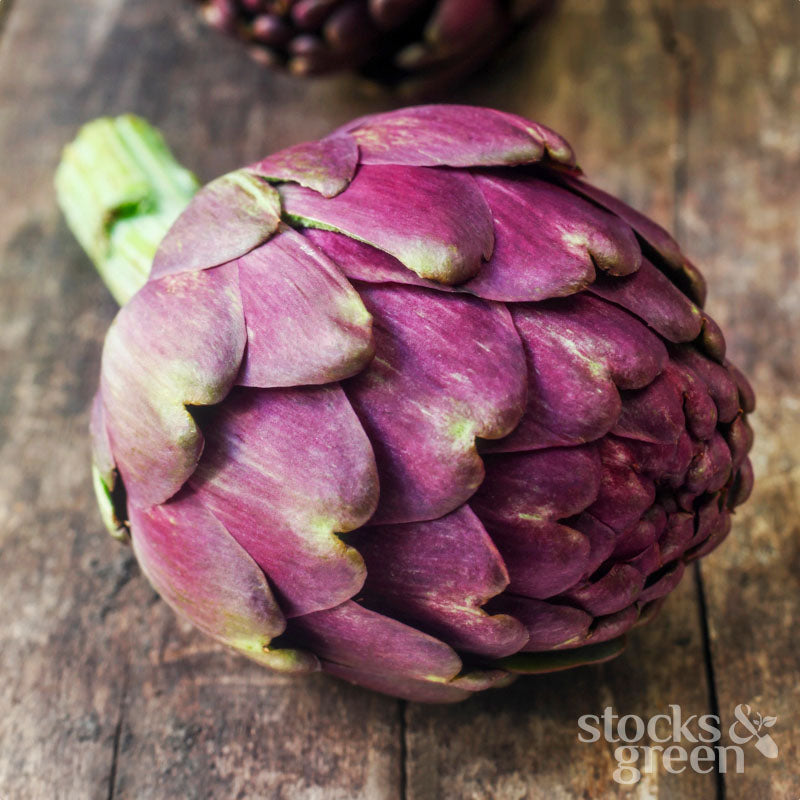Artichoke 'Violetta di Chioggia' Seeds
