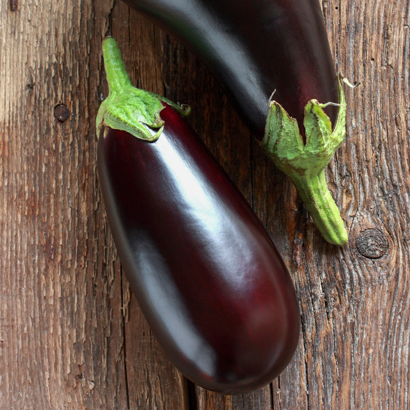 Aubergine 'Moneymaker' F1 Seeds