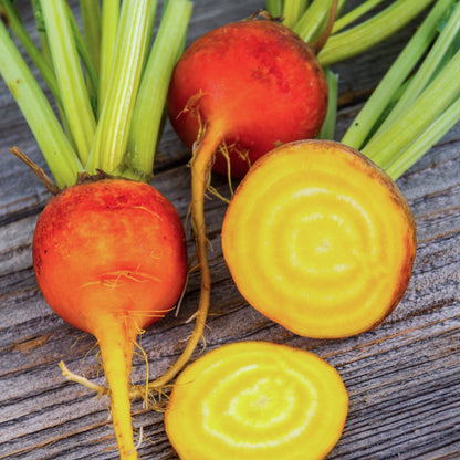 Beetroot 'Boldor' Seeds