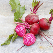 Load image into Gallery viewer, Beetroot &#39;Chioggia&#39; Seeds
