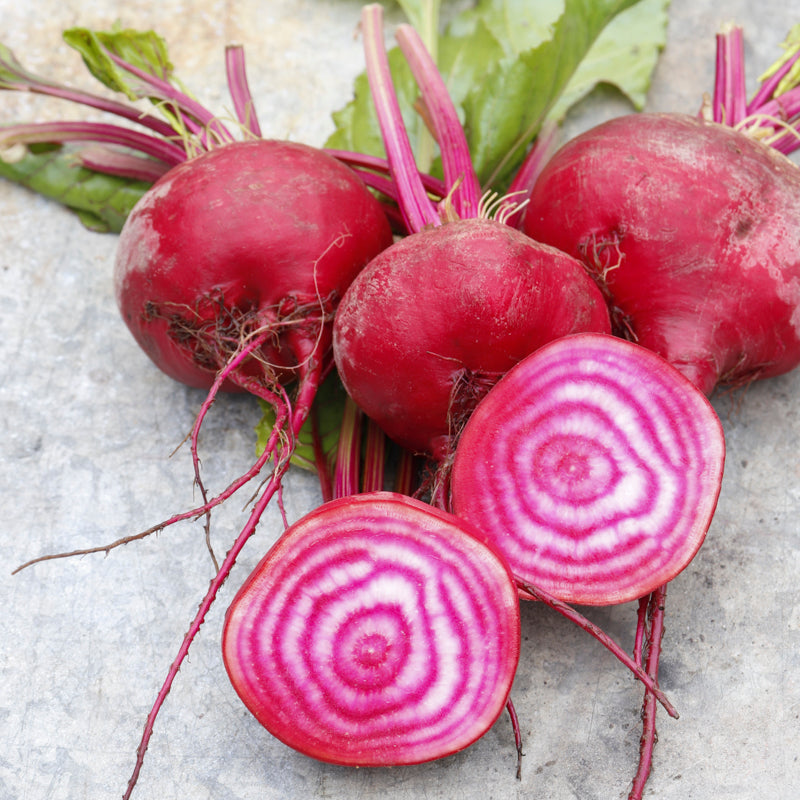Beetroot 'Chioggia' Seeds