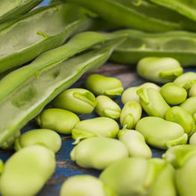 Load image into Gallery viewer, Broad Bean &#39;Aquadulce Claudia&#39; Seeds
