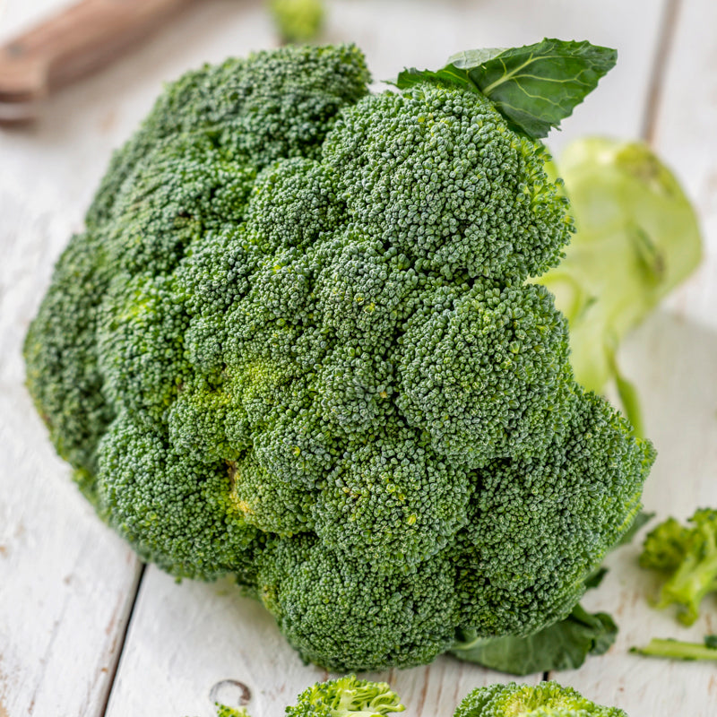 Broccoli 'Green Calabrese' Seeds