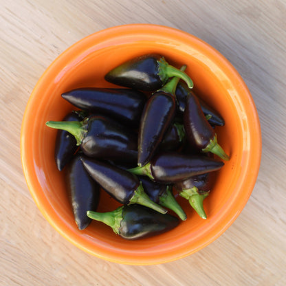 Chilli 'Hungarian Black' Seeds
