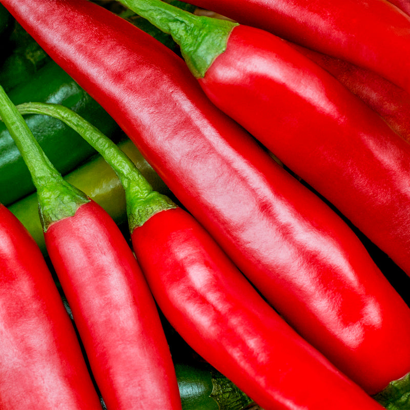 Chilli 'Long Slim' Seeds