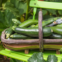 Load image into Gallery viewer, Courgette &#39;Zucchini&#39; Seeds
