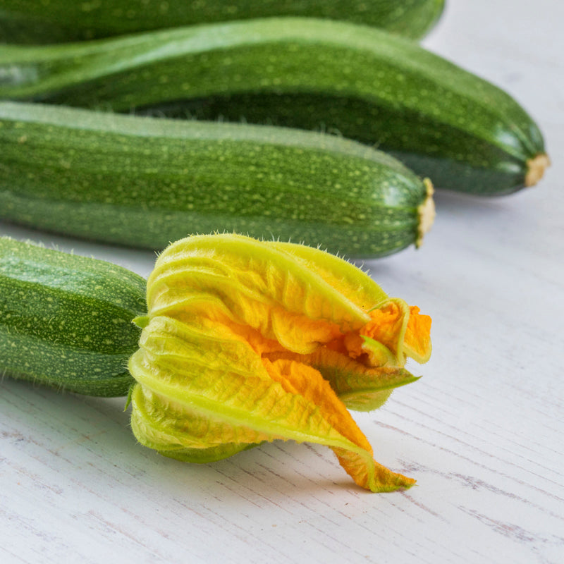 Courgette 'Zucchini' Seeds