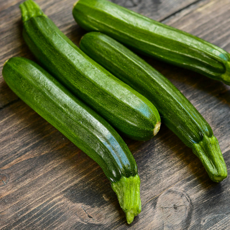 Courgette 'Zucchini' Seeds