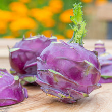 Load image into Gallery viewer, Kohl Rabi &#39;Purple Delicacy&#39; Seeds
