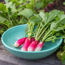 Load image into Gallery viewer, Radish &#39;French breakfast&#39; Seeds
