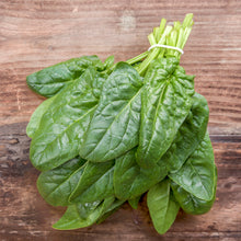 Load image into Gallery viewer, Spinach Beet (Perpetual Spinach) Seeds
